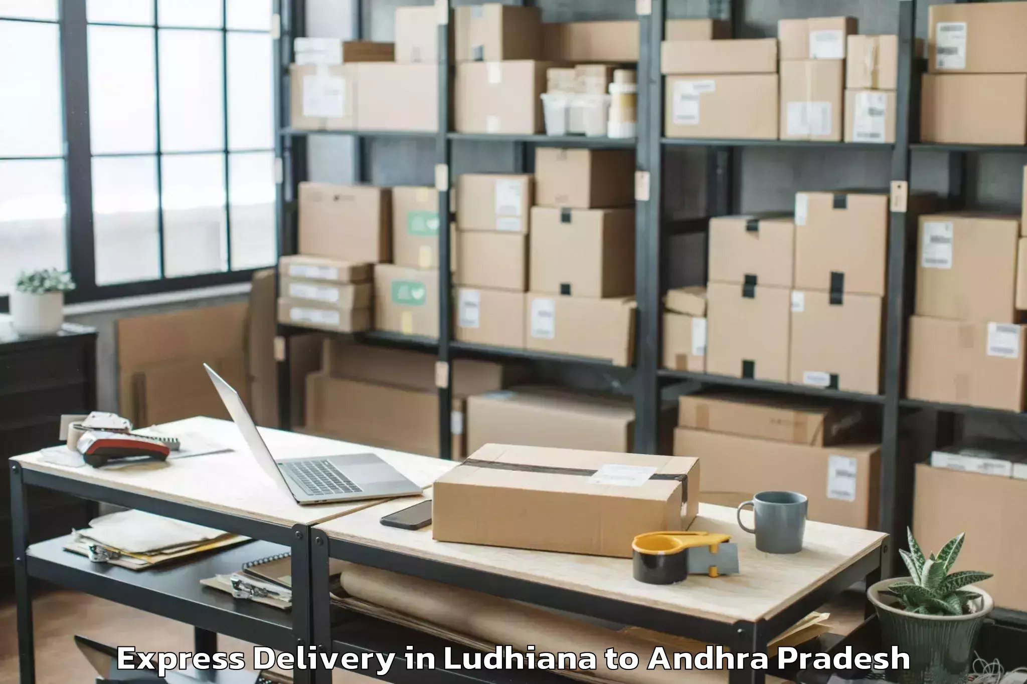 Top Ludhiana to Pedapadu Express Delivery Available